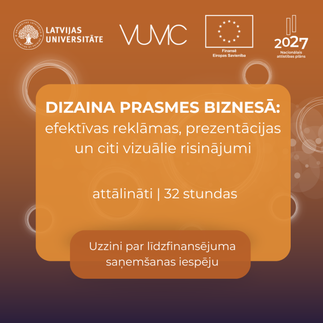 LU VUMC Dizaina prasmes biznesā 