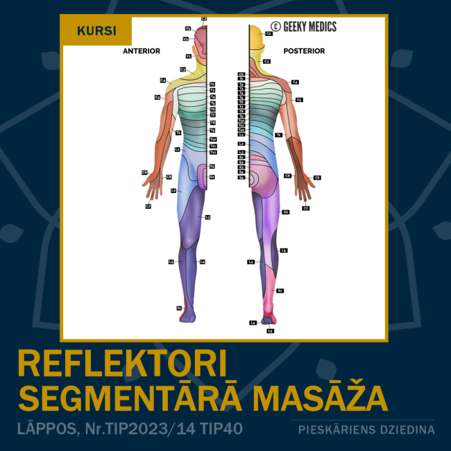 Reflektori segmentārā masāža